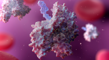 moma_therapeutics